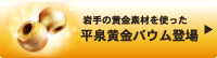 平泉黄金バウム登場